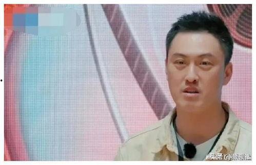 娱乐圈心声吃瓜爆料,幕后心声与吃瓜爆料大揭秘